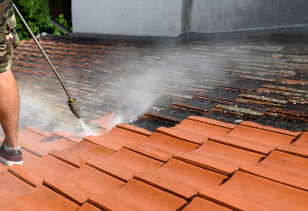 Best Concrete Pressure Washing  in Moline, IL