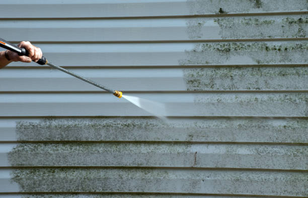 Best Pressure Washing Patio  in Moline, IL