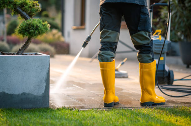 Local Pressure Washing Services in Moline, IL